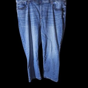 Lane Bryant Women's Blue Flare Jeans 22s